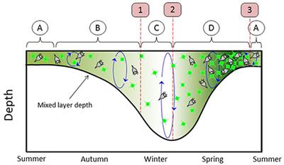 The North Atlantic Aerosol and Marine Ecosystem Study (NAAMES): Science Motive and Mission Overview